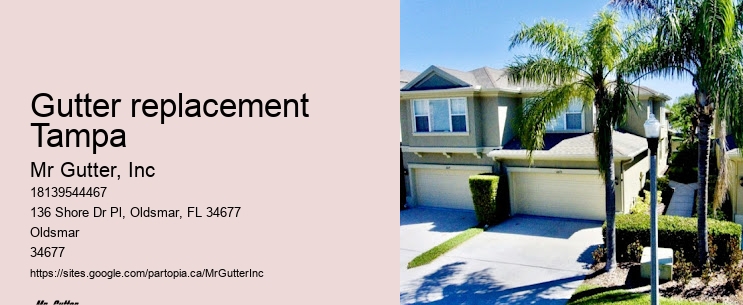Leaf guard installation Gutter replacement Tampa