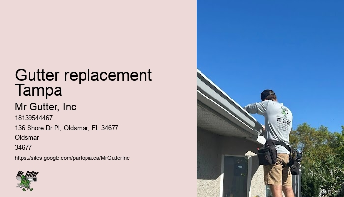 Gutter replacement Tampa gutter installation cost