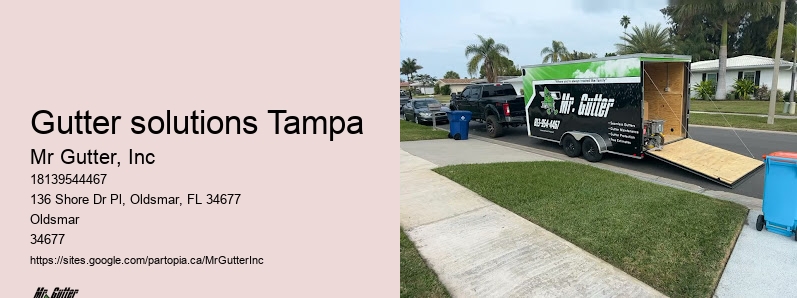 Reliable gutter repair Gutter solutions Tampa