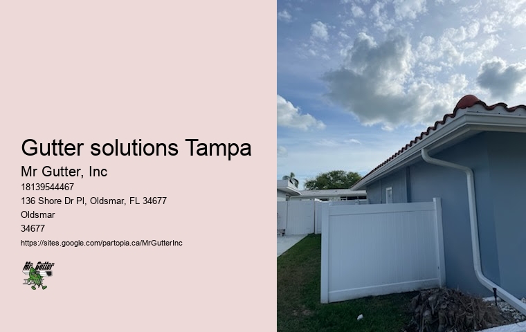 Quality gutter repair Gutter solutions Tampa