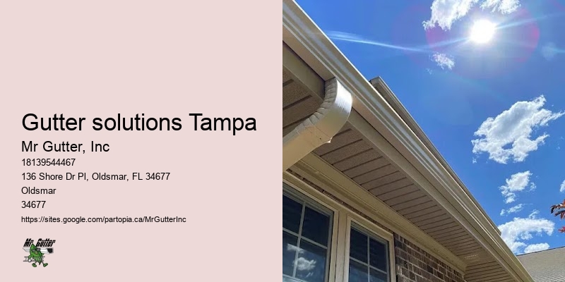 Top-rated gutter repair Gutter solutions Tampa