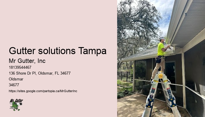 Gutter maintenance contractors Gutter solutions Tampa