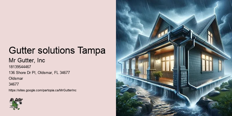 Gutter solutions Tampa gutter inspection services