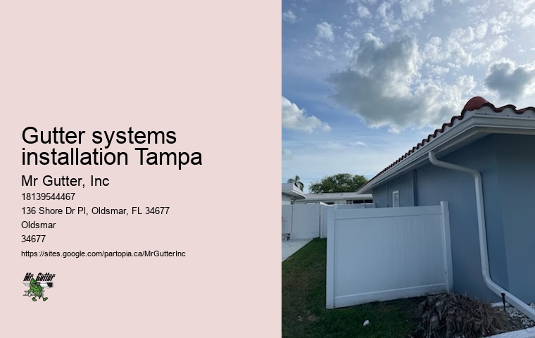 Leaf guard installation Gutter systems installation Tampa