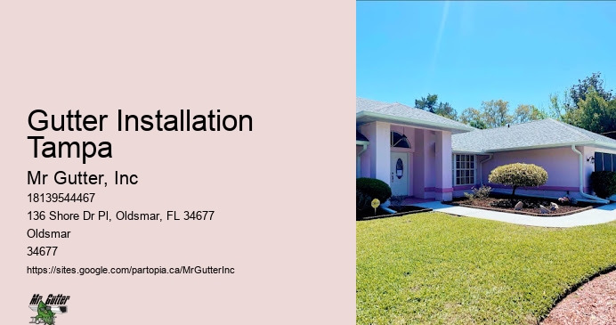 Affordable gutter installation Gutter Installation Tampa