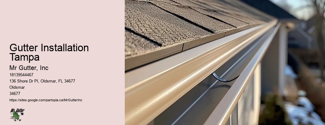 Gutter installation company Gutter Installation Tampa