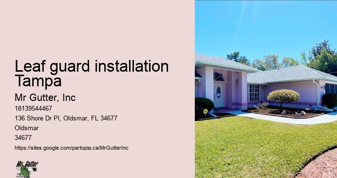 Gutter installation experts near me Leaf guard installation Tampa