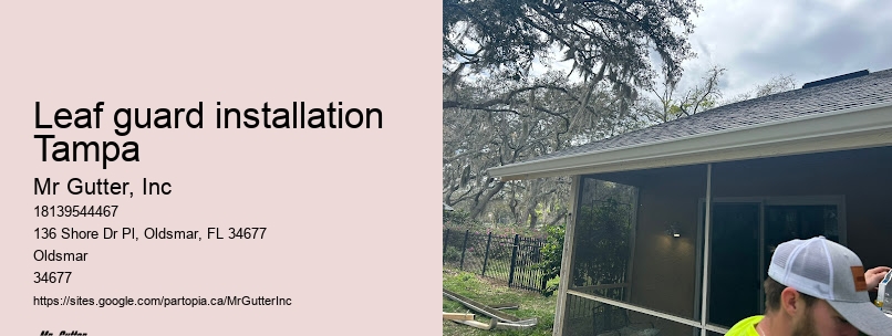 Leaf guard installation Tampa gutter installation promotions