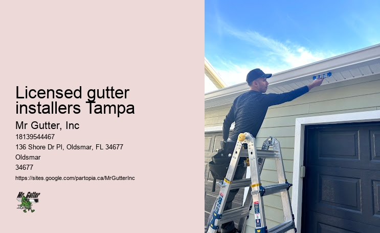 Heavy rain gutter installation Licensed gutter installers Tampa