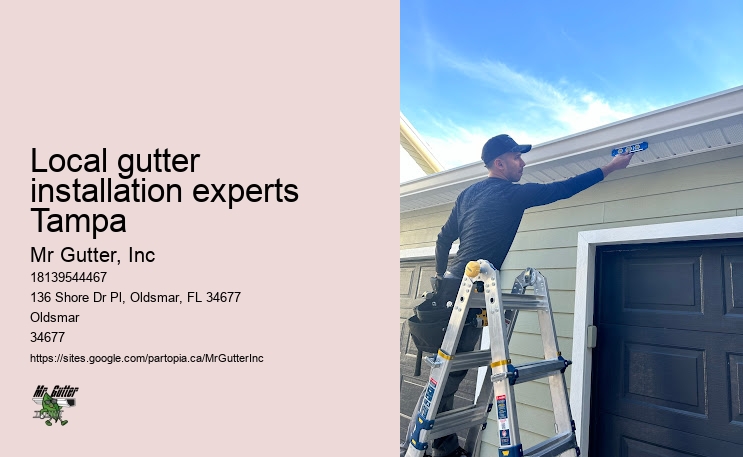 Gutter installation specialists Local gutter installation experts Tampa