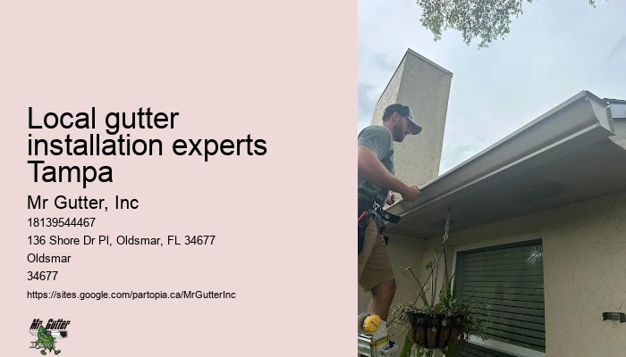 Local gutter installation experts Tampa gutter systems installation