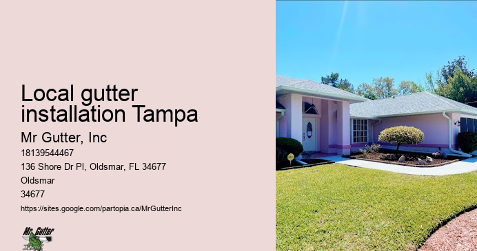 Gutter installation reviews Local gutter installation Tampa