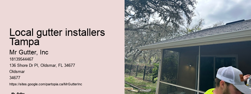 Local gutter installers Tampa gutter repair professionals