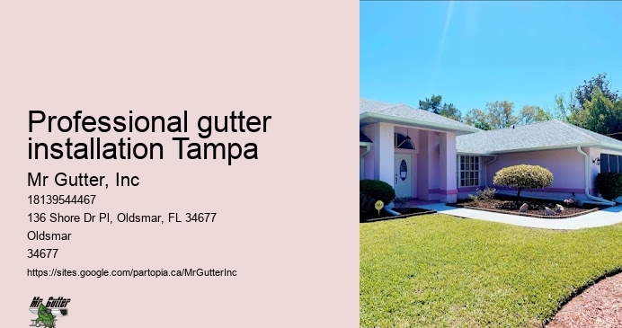 Best gutter installers in Professional gutter installation Tampa