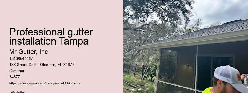 Professional gutter installation Tampa seamless gutter installation