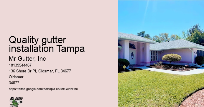 Gutter protection systems Quality gutter installation Tampa