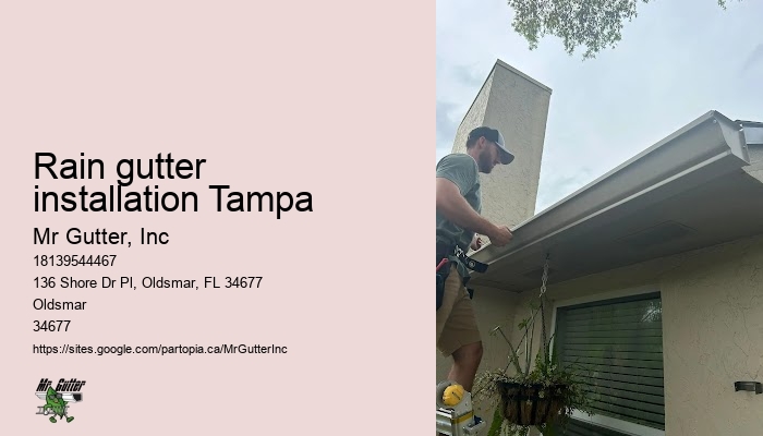 Rain gutter installers Rain gutter installation Tampa