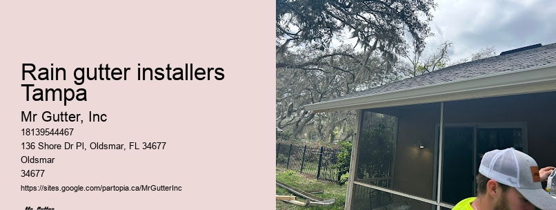Gutter covers installation Rain gutter installers Tampa