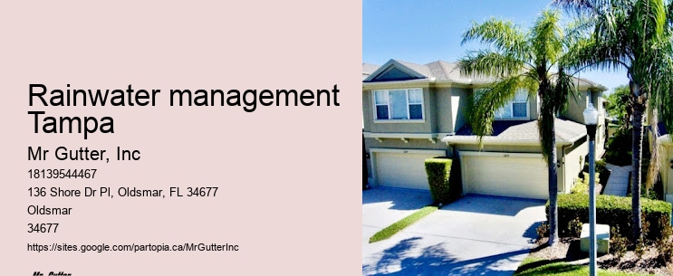 Custom rain gutter installation Rainwater management Tampa