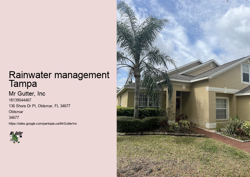 Gutter installation promotion Rainwater management Tampa