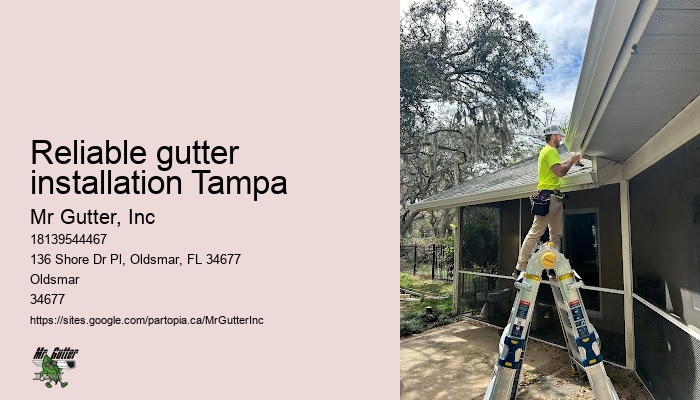Gutter cleaning experts Reliable gutter installation Tampa