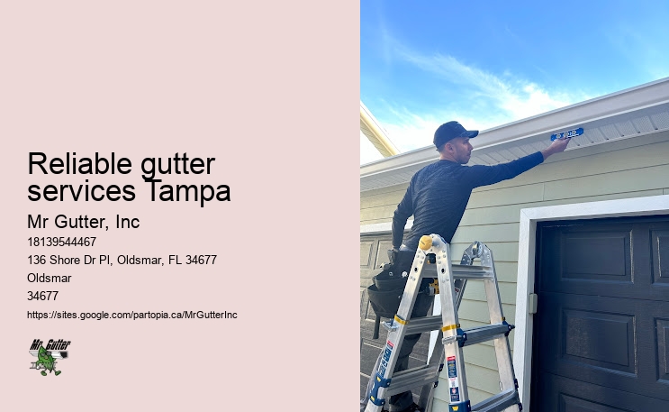 Gutter and downspout cleaning Reliable gutter services Tampa
