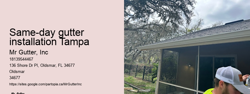 Gutter installation testimonials Same-day gutter installation Tampa