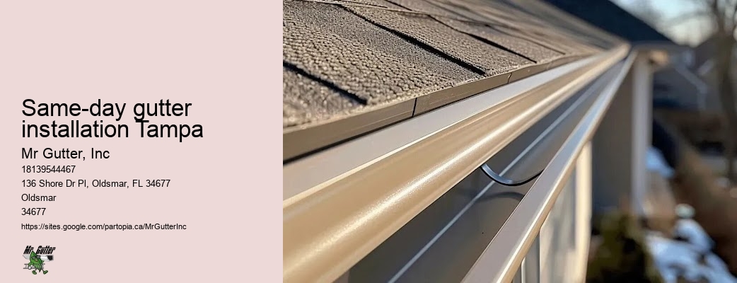 Affordable seamless gutter installation Same-day gutter installation Tampa