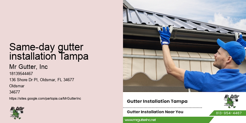 Gutter installation and cleaning Same-day gutter installation Tampa