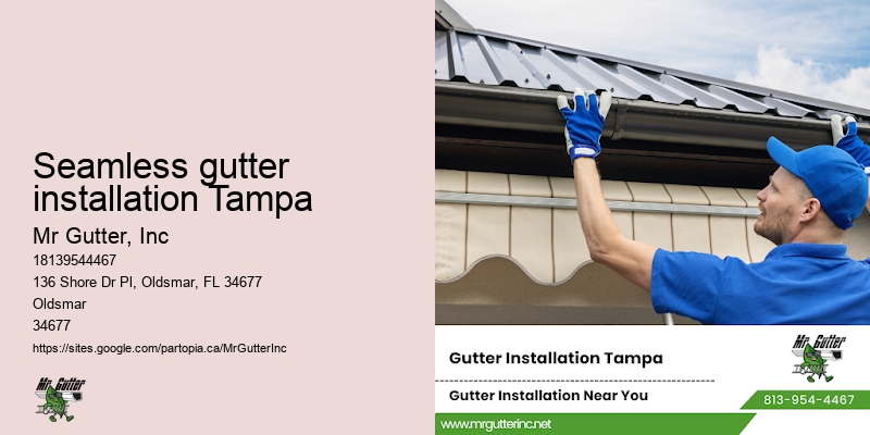 Seamless gutter installation Tampa gutter services