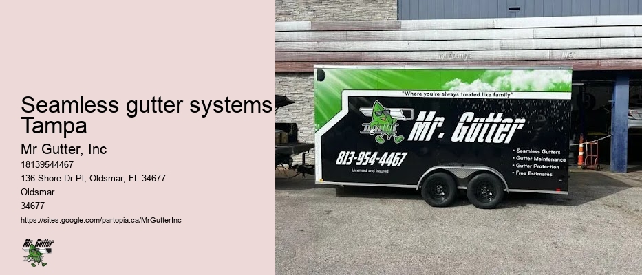 Seamless gutter systems Tampa