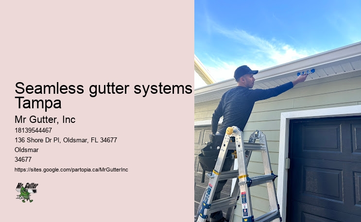 Seamless gutter systems Tampa gutter repair reviews