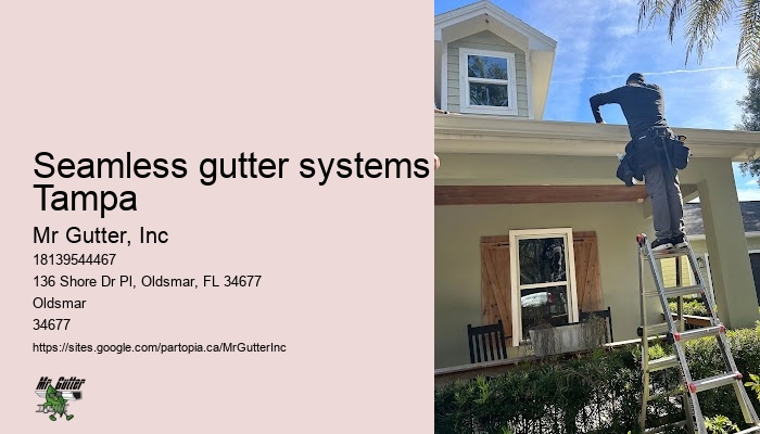 Seamless gutter systems Tampa gutter repair professionals