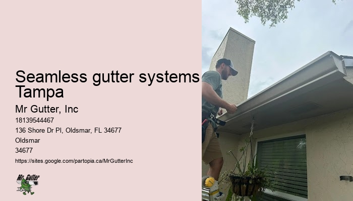 Gutter cleaning cost Seamless gutter systems Tampa