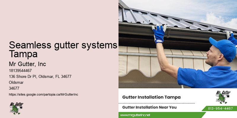 Seamless gutter systems Tampa gutter cleaning reviews