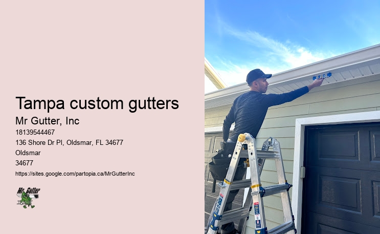 Tampa custom gutters gutter services reviews
