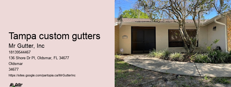 Gutter replacement professionals Tampa custom gutters