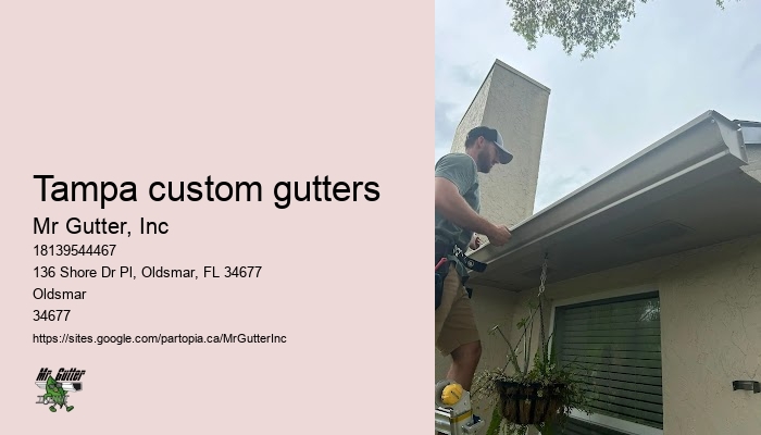 Professional gutter maintenance Tampa custom gutters