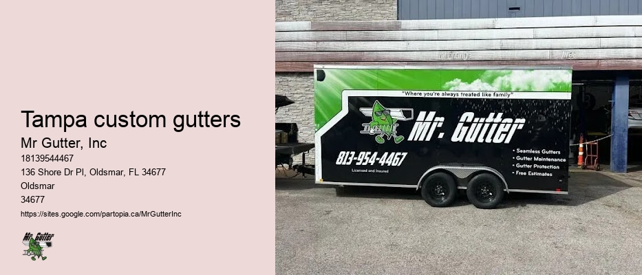 Tampa custom gutters