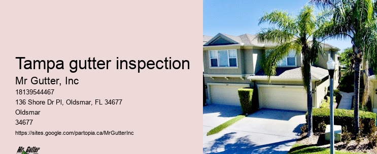 Gutter installation pros Tampa gutter inspection