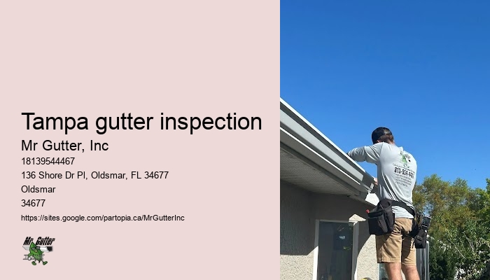 Gutter installation service area Tampa gutter inspection