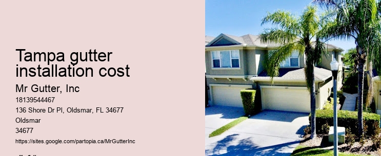 Affordable gutter replacement Tampa gutter installation cost