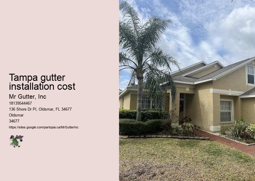 Professional gutter repair Tampa gutter installation cost