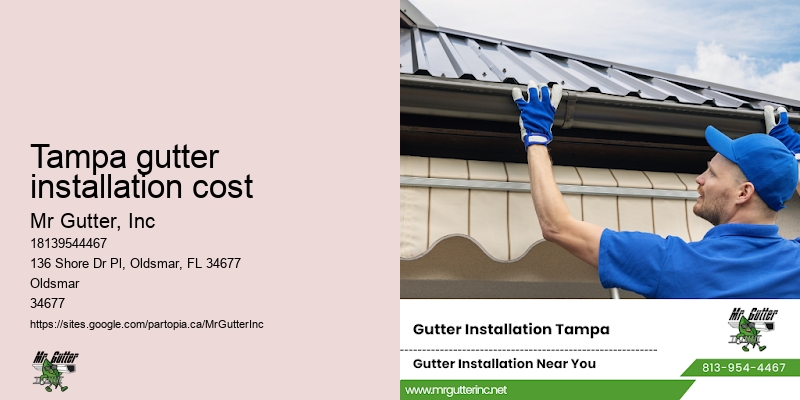 Downspout installation Tampa gutter installation cost