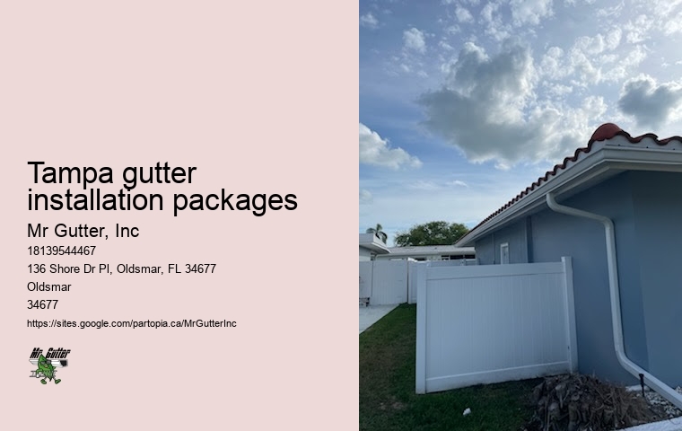 Tampa gutter installation packages gutter installation contractors