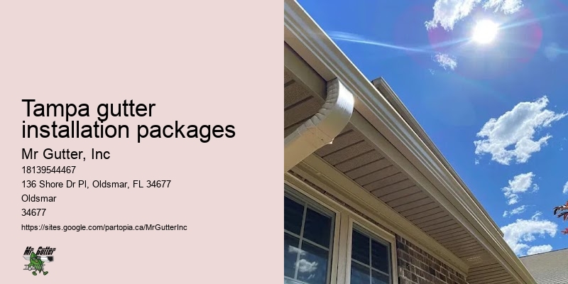 PVC gutter installation Tampa gutter installation packages