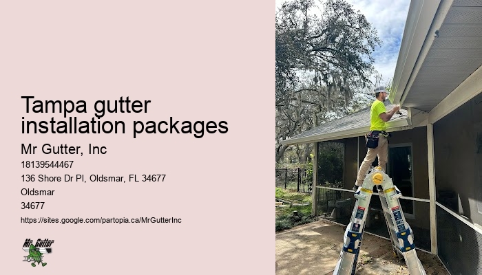 Tampa gutter installation packages gutter system upgrade