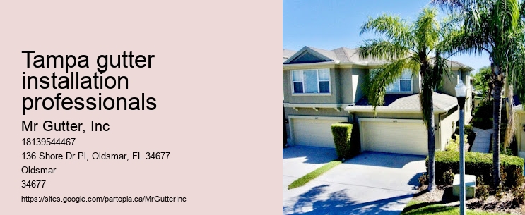 Modern gutter installation Tampa gutter installation professionals
