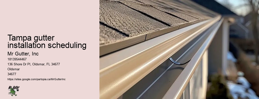 Leaf Guard Gutter Tampa gutter installation scheduling FL