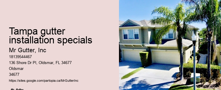 Tampa gutter installation specials seamless gutter installers